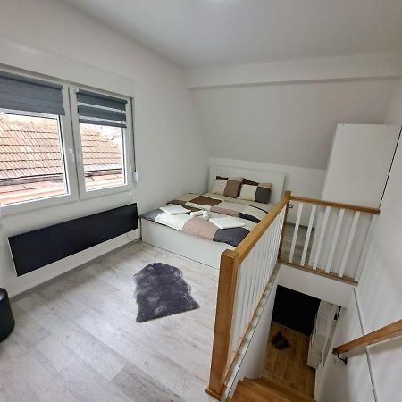 Mini Duplex Apartman Dusanovac Eksteriør billede